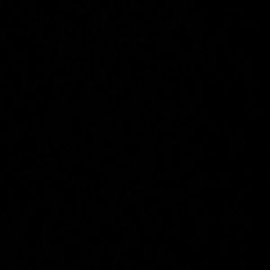 Meet your Posher, Jaylin